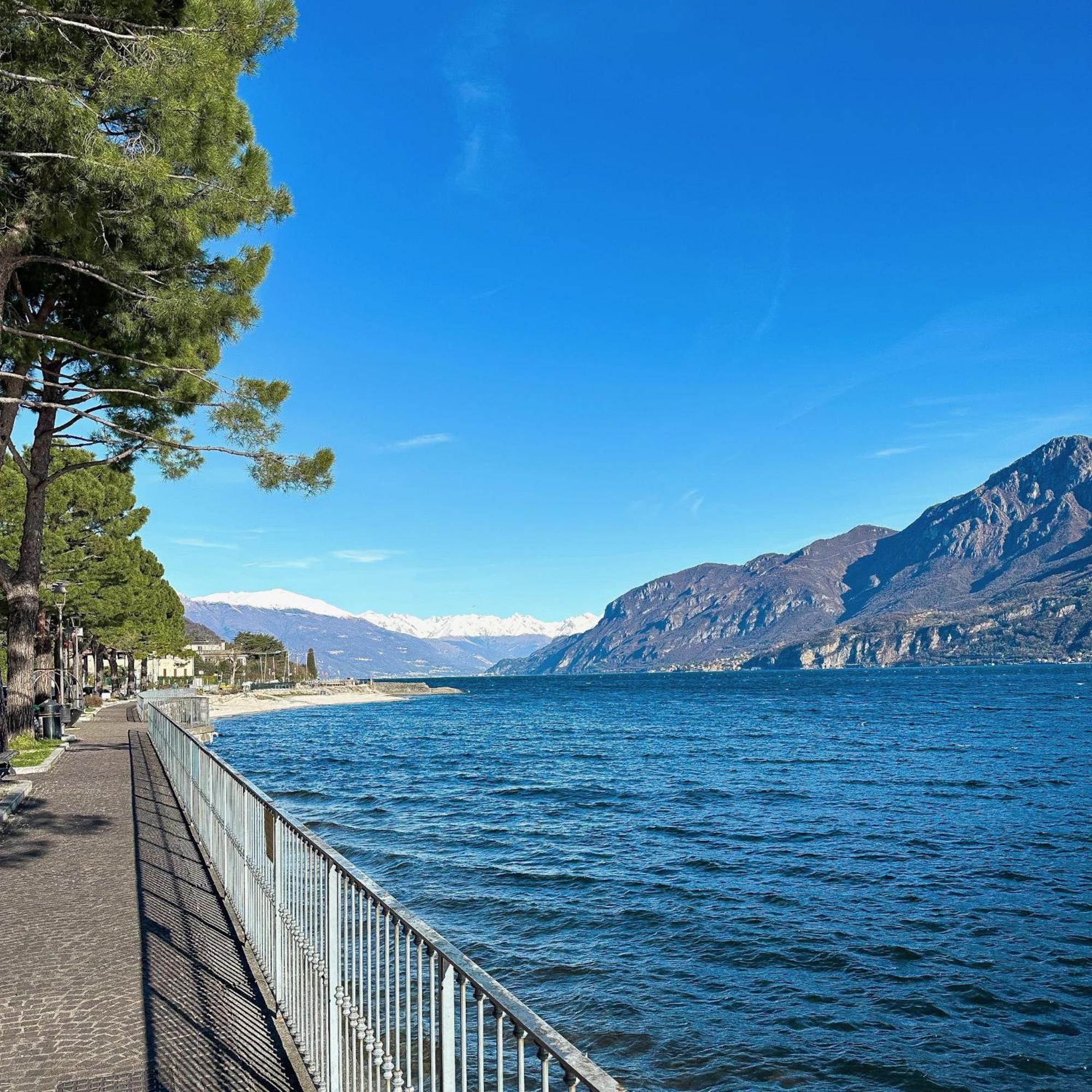 Renzo E Lucia Lake View Apartment Oliveto Lario Exterior foto
